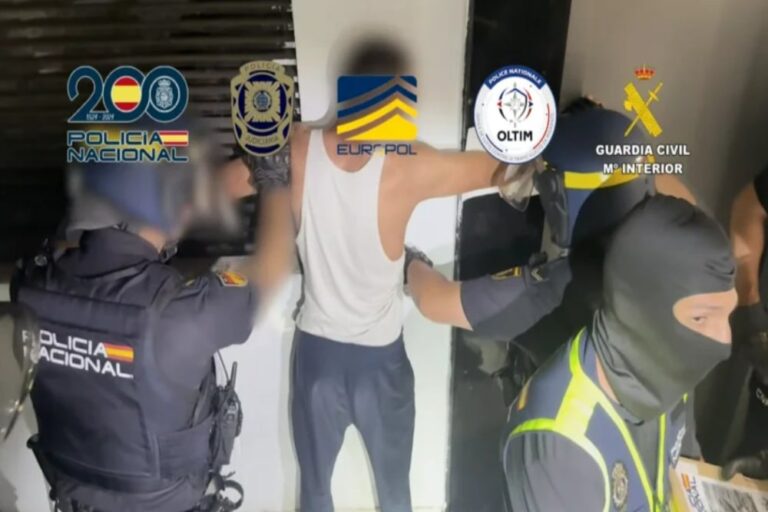 صورة المقالة