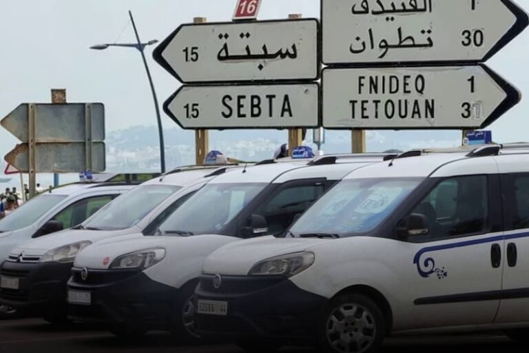 صورة المقالة