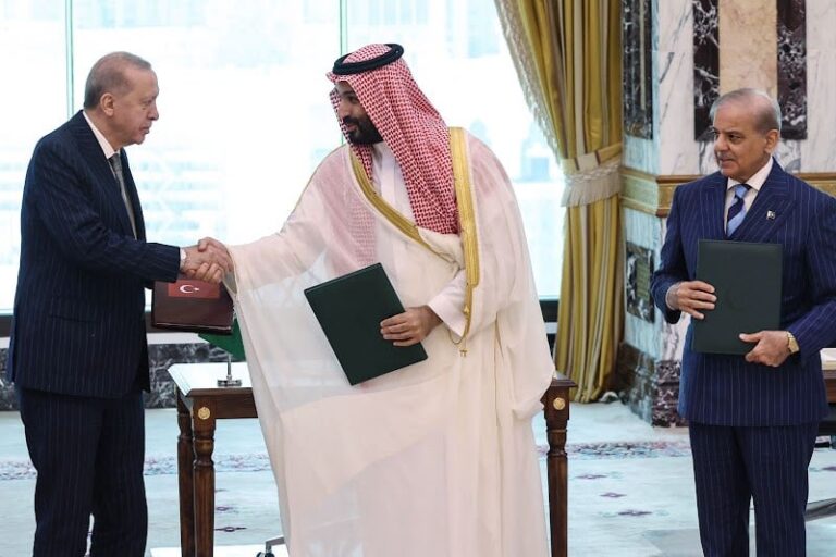 صورة المقالة