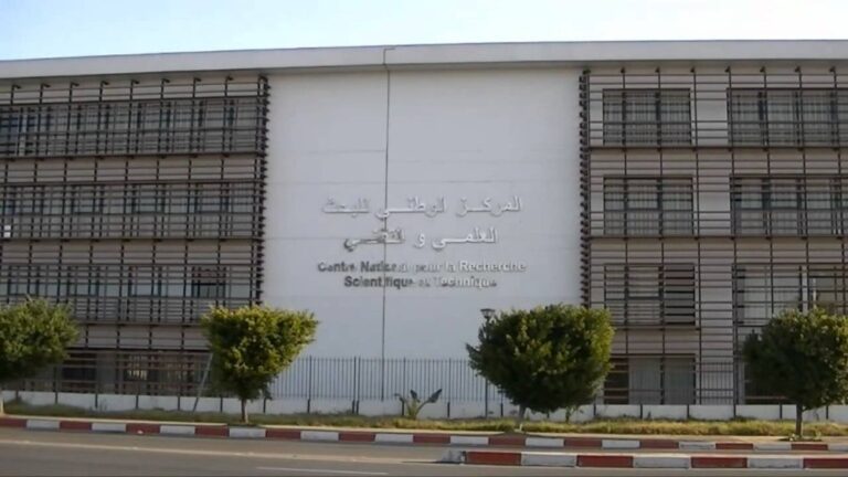 صورة المقالة