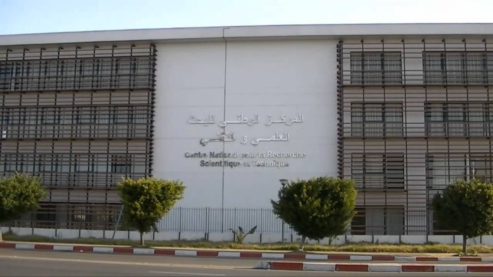 صورة المقالة