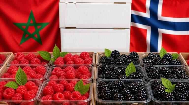 صورة المقالة