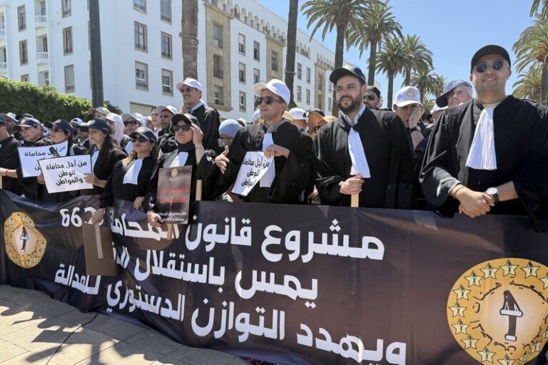 صورة المقالة
