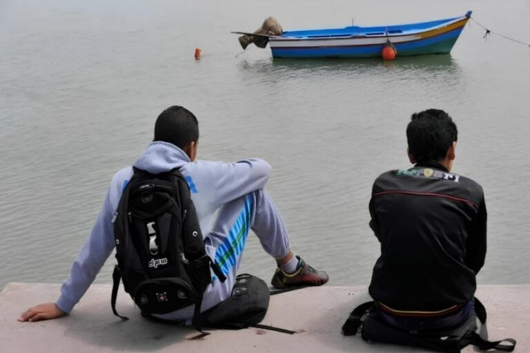صورة المقالة