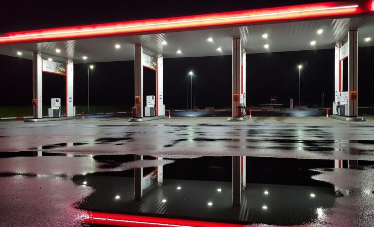صورة المقالة