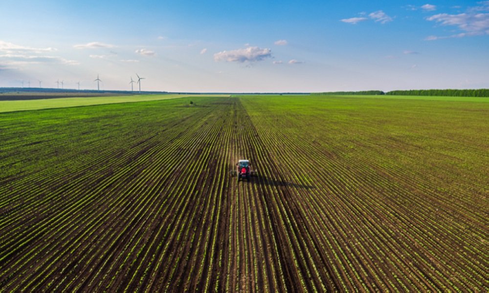 الزراعة الحافظة في المغرب: تحديات التحول نحو مليون هكتار بحلول 2030