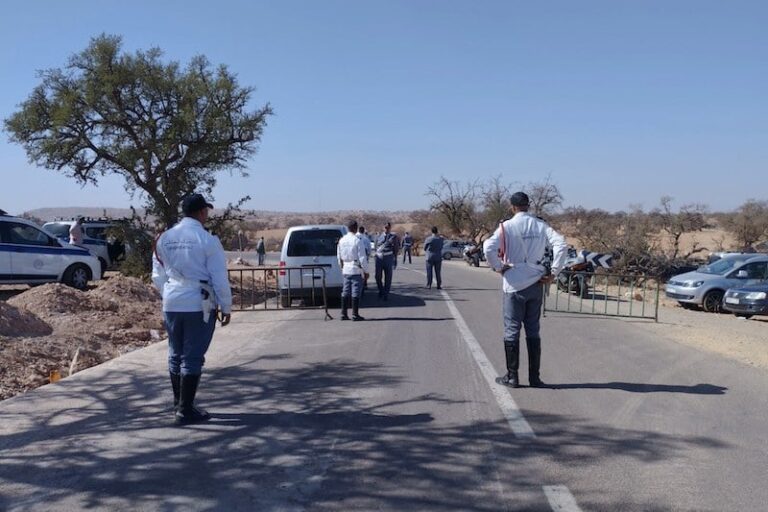 صورة المقالة