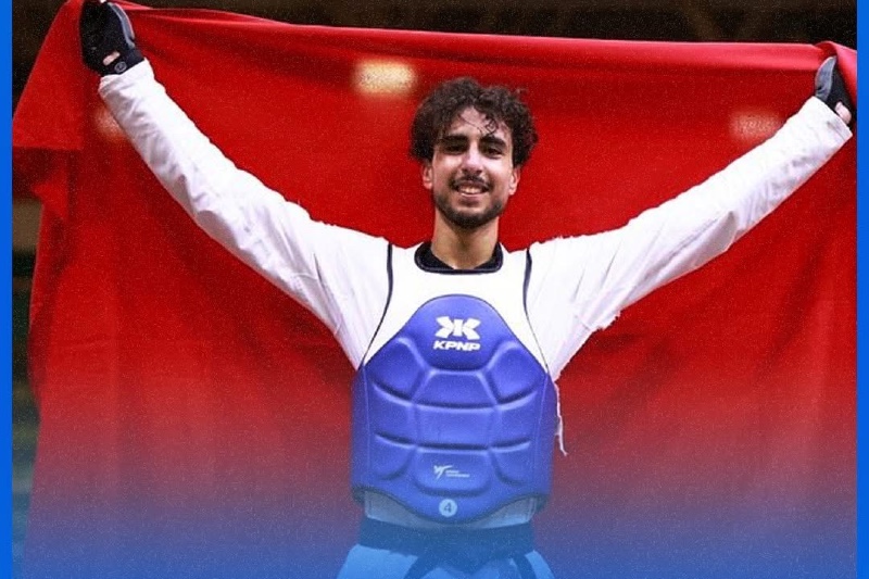 صورة المقالة