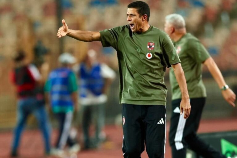 صورة المقالة