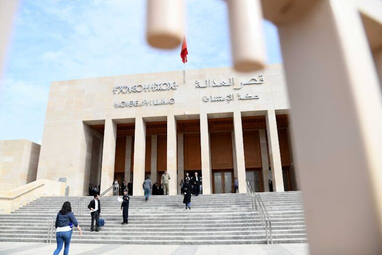 صورة المقالة