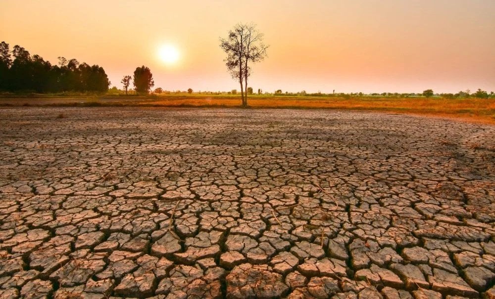 النينيو والموسم الفلاحي 2026-2027: قراءة في تقلبات التساقطات المطرية وتأثيرها على الزراعة المغربية