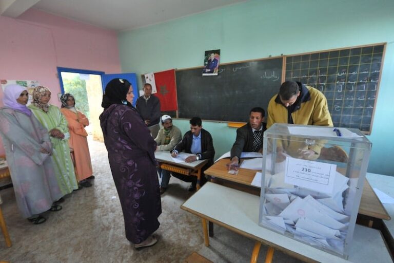 صورة المقالة