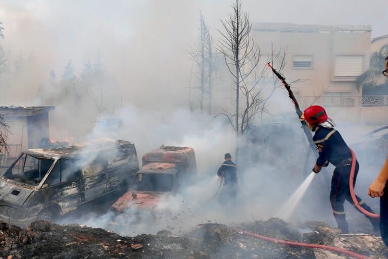 صورة المقالة