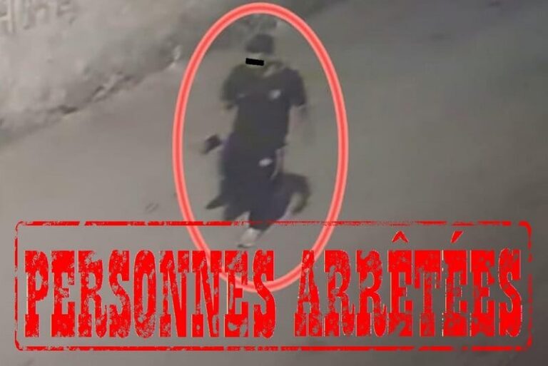 صورة المقالة