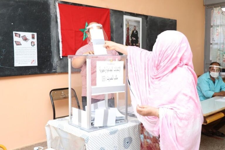 صورة المقالة