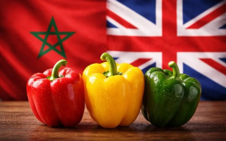 صورة المقالة