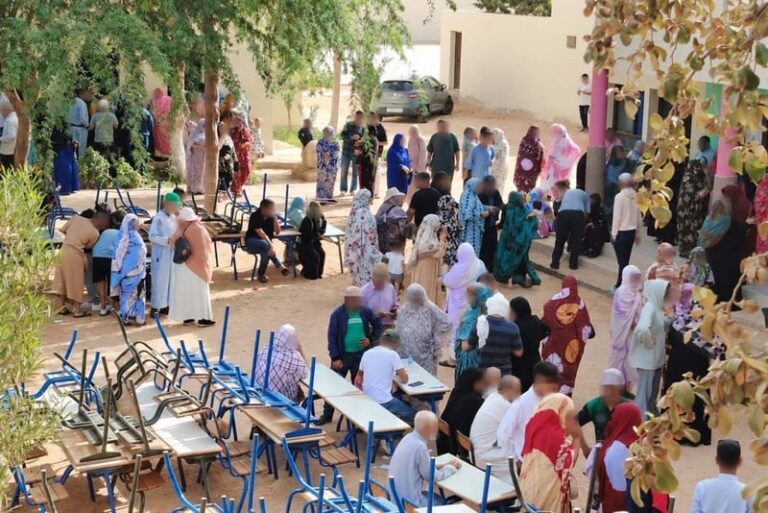 صورة المقالة
