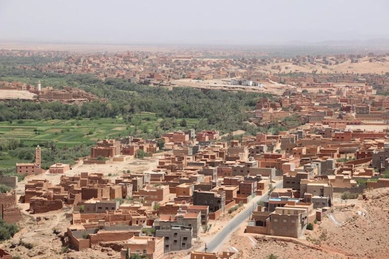 صورة المقالة