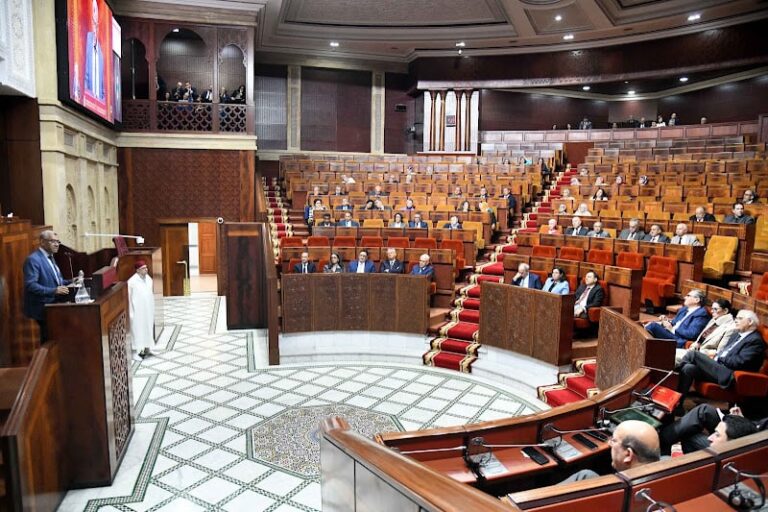 صورة المقالة