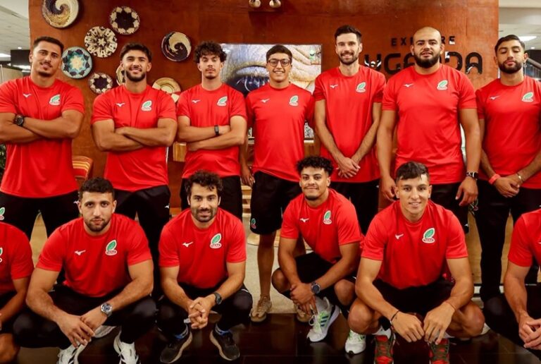 صورة المقالة