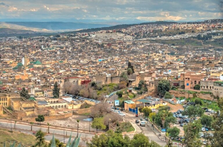 صورة المقالة