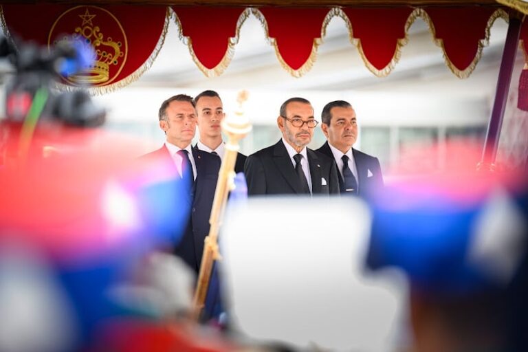 صورة المقالة