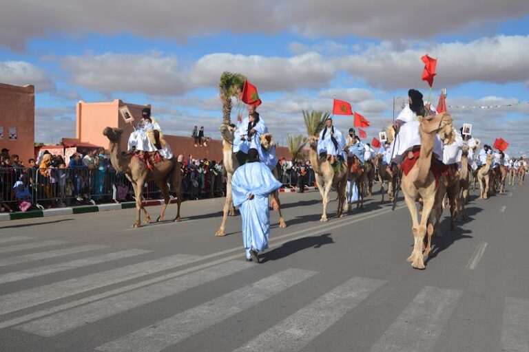 صورة المقالة