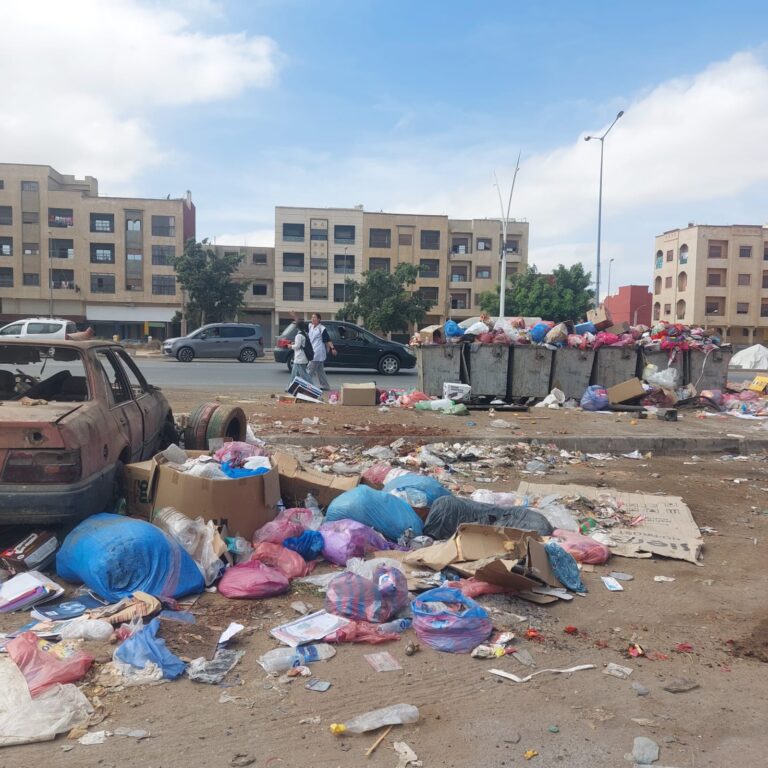 صورة المقالة