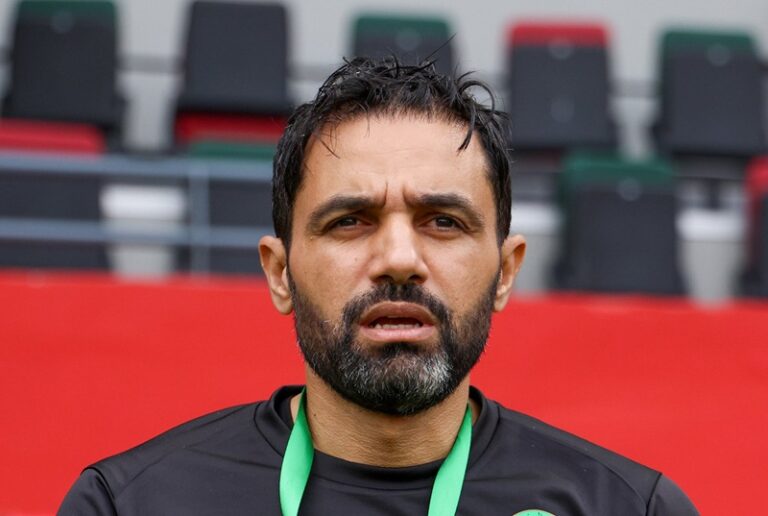صورة المقالة
