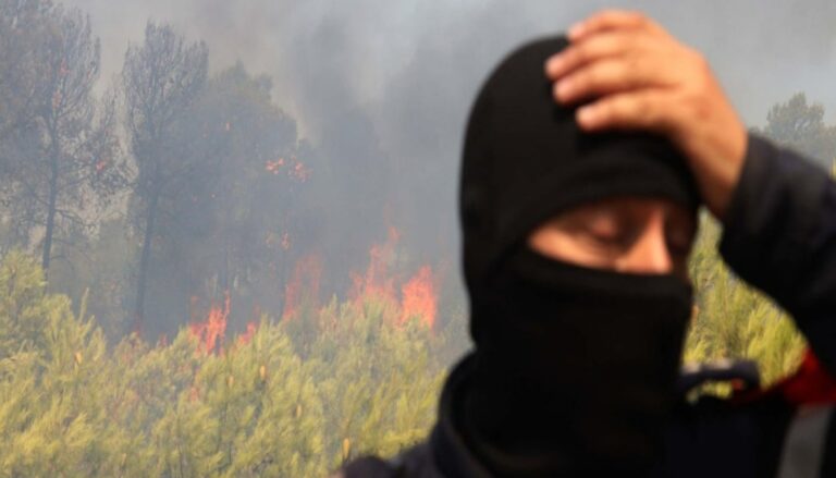 صورة المقالة