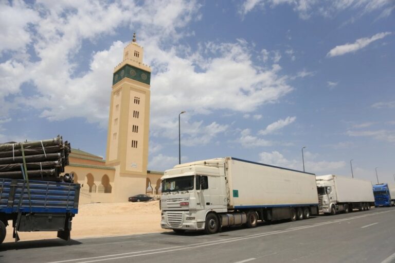 صورة المقالة