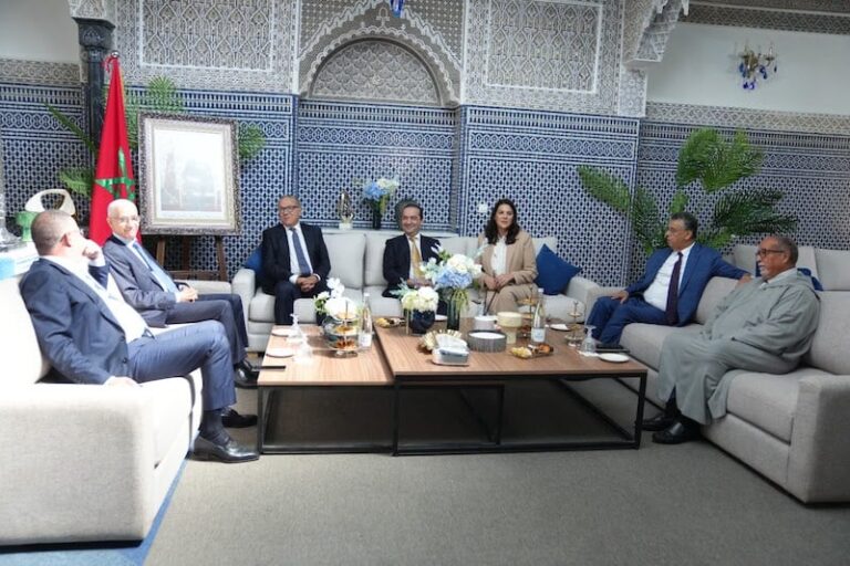 صورة المقالة