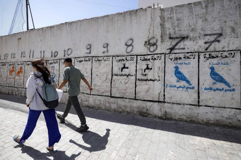 صورة المقالة