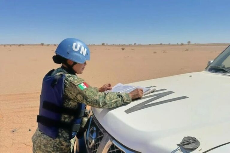 صورة المقالة