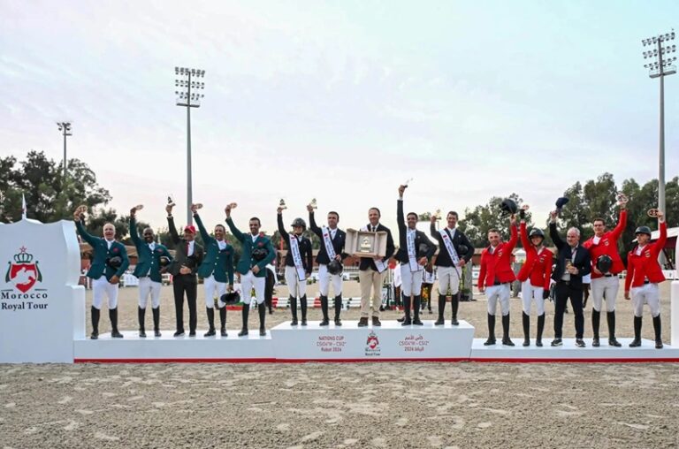 صورة المقالة