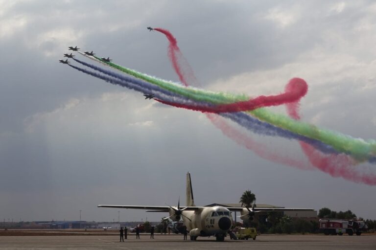 صورة المقالة