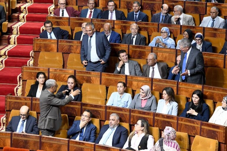 صورة المقالة
