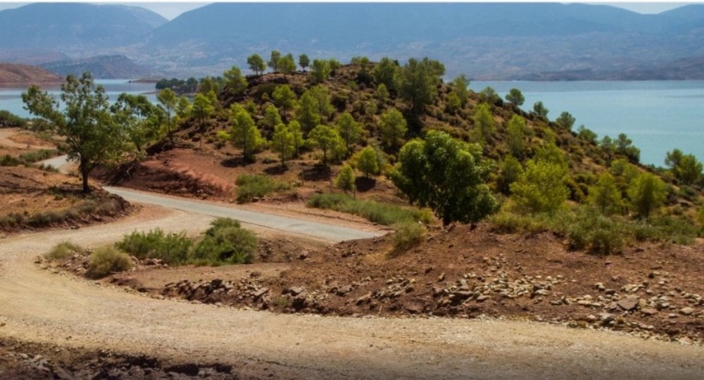 الصندوق الدولي للتنمية الزراعية يخطط لاستهداف 28 ألف أسرة في خنيفرة