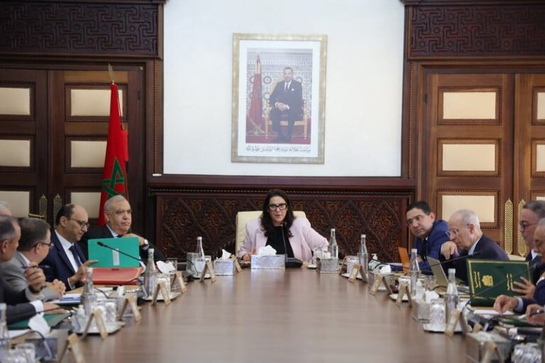 صورة المقالة