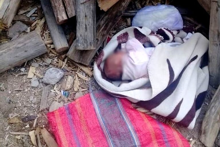 صورة المقالة