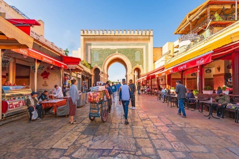 صورة المقالة