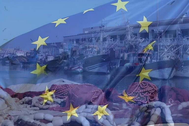 صورة المقالة