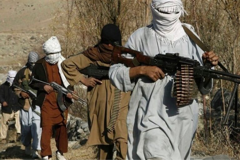 صورة المقالة