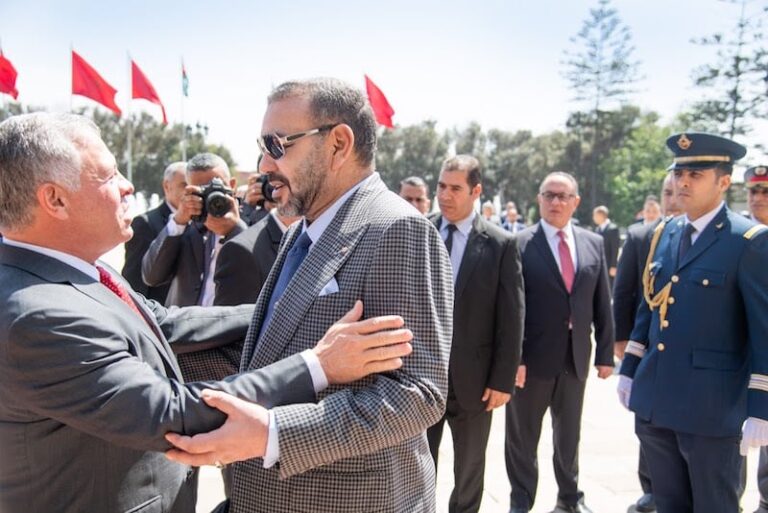 صورة المقالة