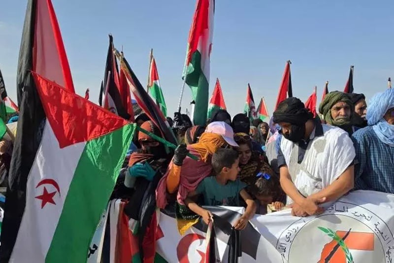 تعبئة البوليساريو للنساء والأطفال ضد مسودة واشنطن: قراءة في أبعاد الاحتجاجات بمخيمات تندوف