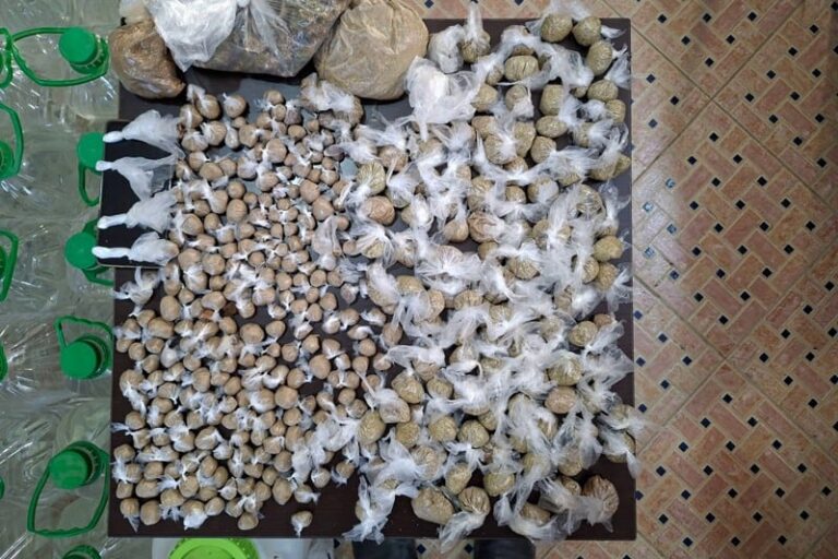 صورة المقالة
