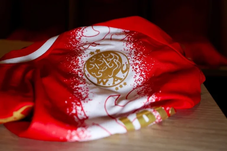 صورة المقالة
